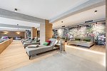 Tilia living