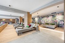 Tilia living