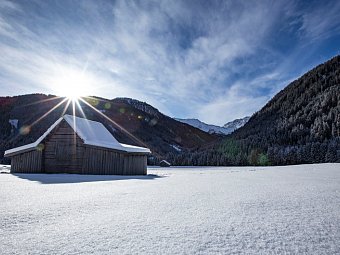 Moarhof