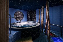 Spa Hotel Villa Smetana