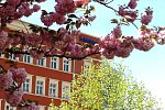 SchlafGut AppartementHotel