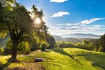 GreenLine Hotel Terme Snovik