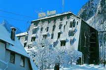 Hotel Alpina