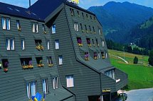 Hotel Alpina
