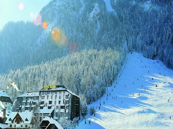 Hotel Alpina
