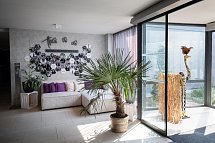 ibis Styles Linz Hotel