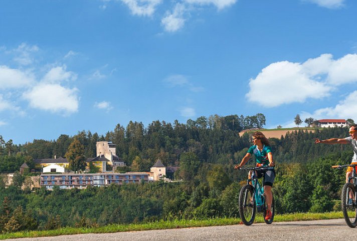 Schatz Kammer Burg Kreuzen