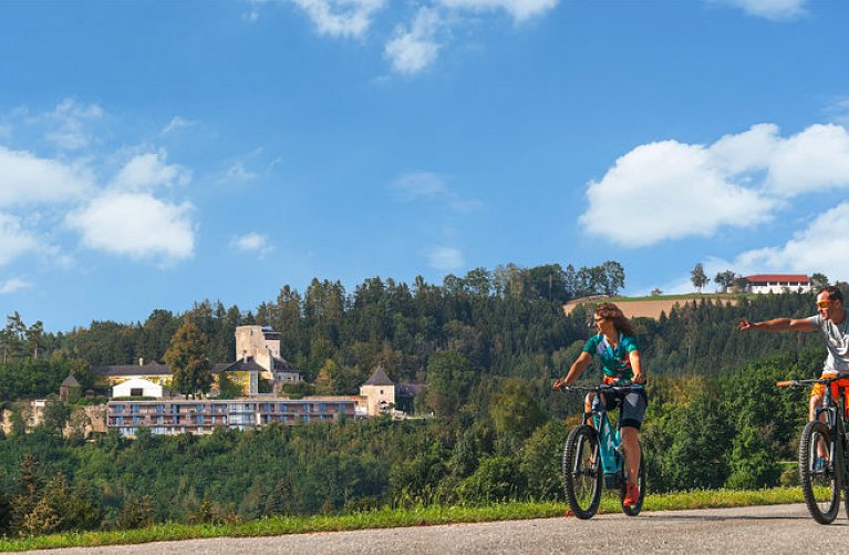 Schatz Kammer Burg Kreuzen