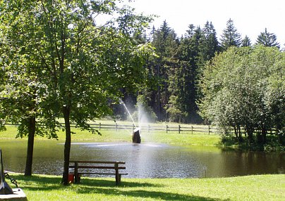 Hotel Sonnenhof - Tante ALMA's Sommerfrische Sonnen