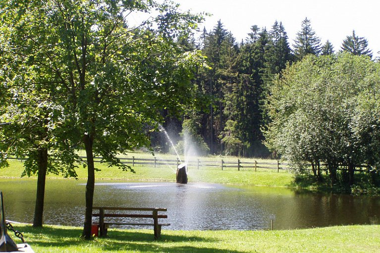 Hotel Sonnenhof - Tante ALMA's Sommerfrische
