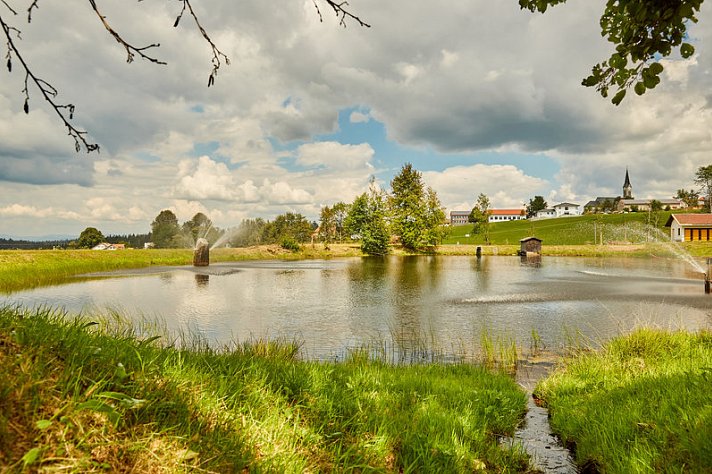 Hotel Sonnenhof - Tante ALMA's Sommerfrische