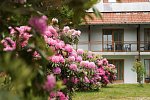 Hotel Sonnenhof - Tante ALMA's Sommerfrische