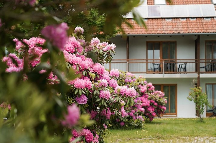 Hotel Sonnenhof - Tante ALMA's Sommerfrische