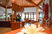 Hotel Sonnenhof - Tante ALMA's Sommerfrische