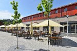 Hotel Element