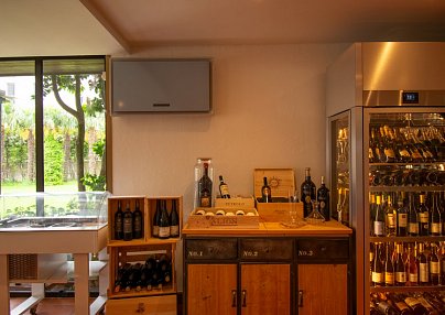 Hotel Tiziana Losone
