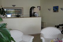 Le Mimose