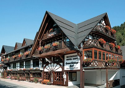 Sauerländer Hof Willingen Willingen