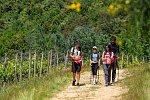 Castellare Di Tonda Resort & Spa