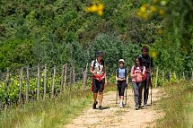 Castellare Di Tonda Resort & Spa