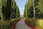 Fattoria Belvedere