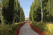 Fattoria Belvedere