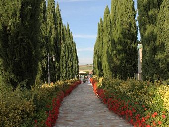 Fattoria Belvedere