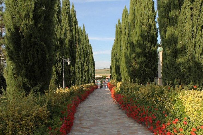 Fattoria Belvedere