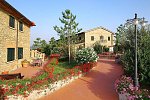 Fattoria Belvedere