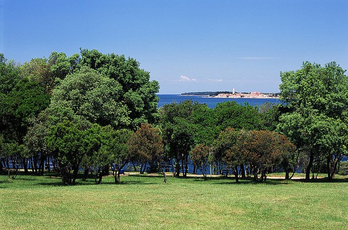 Valamar Tamaris Villas