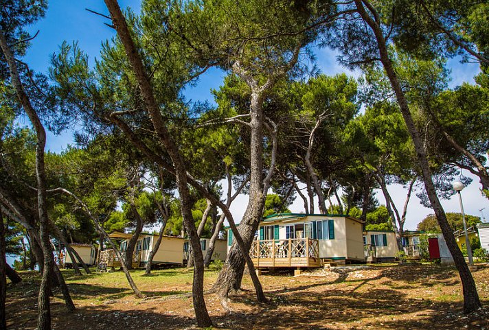 Arena Stoja Mobile Homes