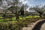 Villa Paradiso
