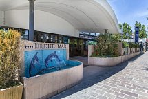 Due Mari