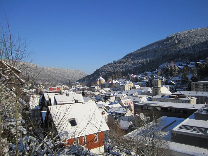 Hotel Bergfrieden
