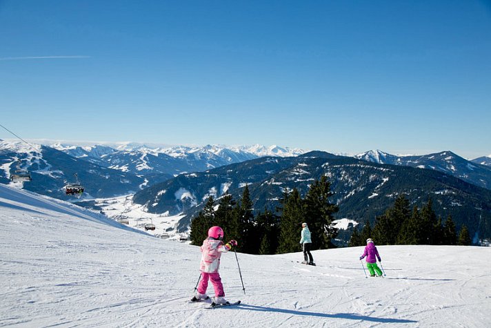 Schwaiger