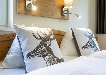 Aparthotel Jagdhof Filzmoos