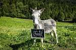Hotel Alpenwelt