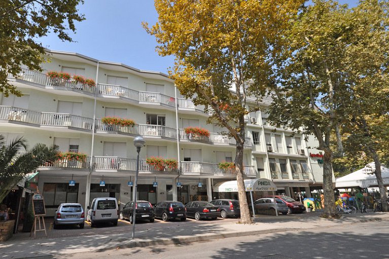 Aparthotel Pineda