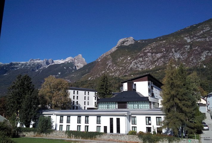 Alp