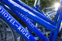 Rigel