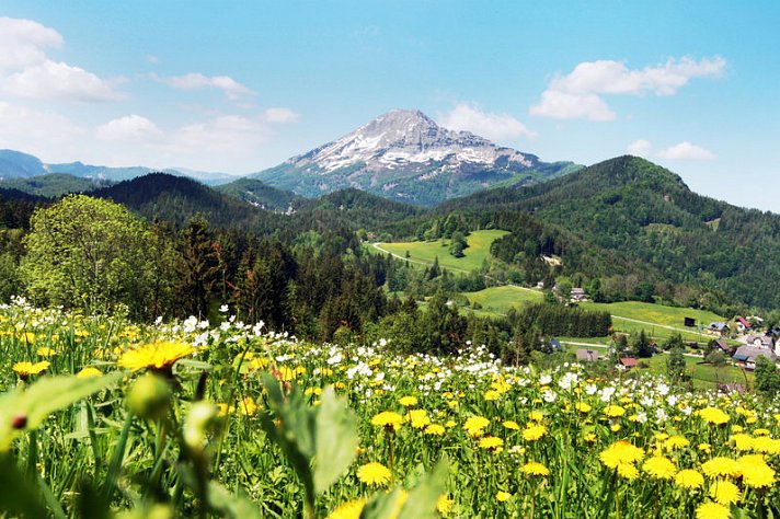 JUFA Hotel Annaberg