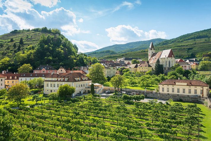 Stierschneider's Weinhotel Wachau