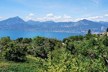 Belvedere