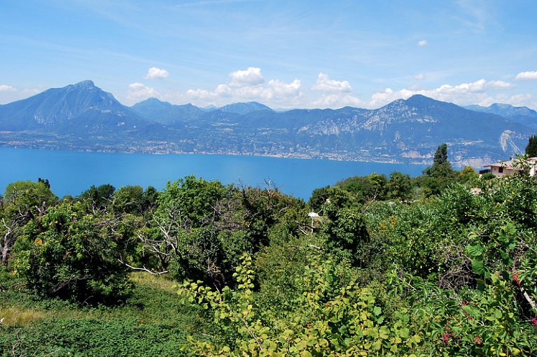 Belvedere