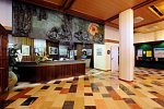 Hotel Palme & Suite