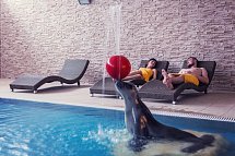 Sofra Health Institute Fit & Spa Karpacz