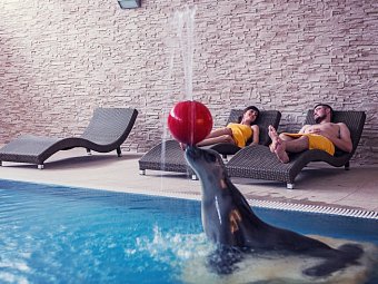 Sofra Health Institute Fit & Spa Karpacz