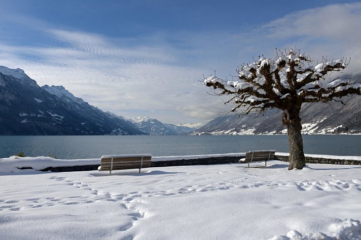 Hotel Brienz