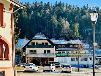 Chalet Moos