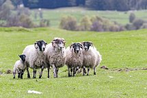 Familienerlebnistour Schottland